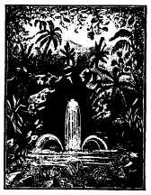 tropical glade engraving