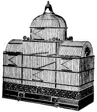 birdcage